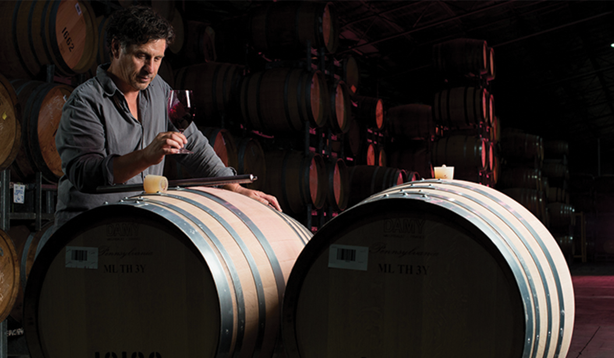 Man testing wine from barrel